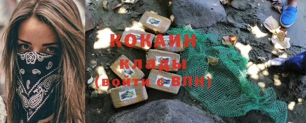 амф Ладушкин