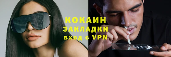 амф Ладушкин