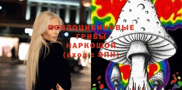 амф Ладушкин