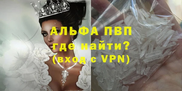 амф Ладушкин