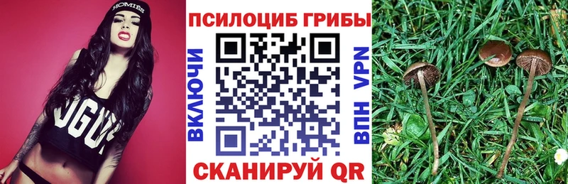 Купить где  Уяр  Галлюциногенные грибы мицелий 